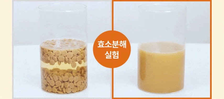 [무료배송] 코코다움 독 소화 영양 다시 냠냠 파우더 2g*30p  8번째
