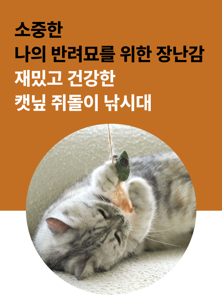 [NEW신상][무료배송] 캣디피 캣닢 쥐돌이 낚시대 2번째