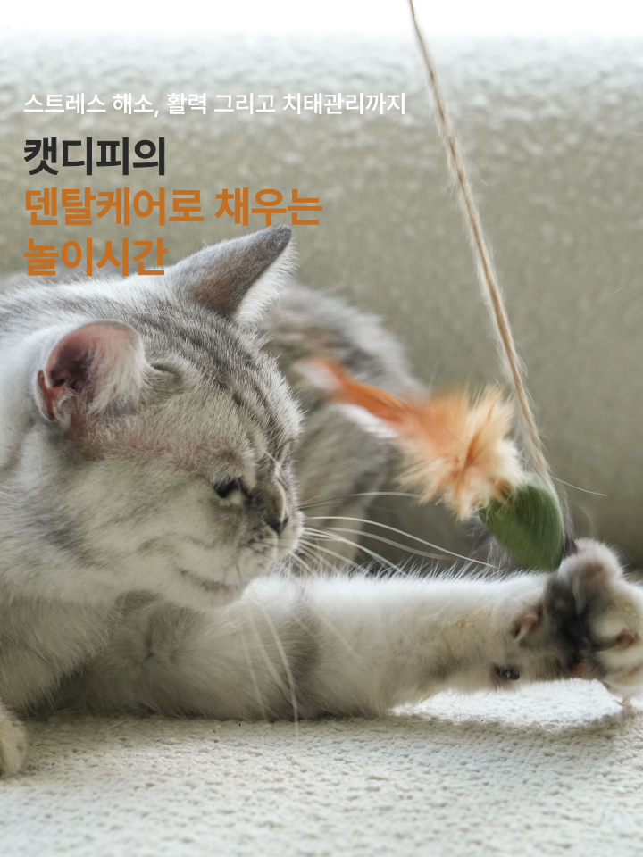 [NEW신상][무료배송] 캣디피 캣닢 쥐돌이 낚시대 12번째