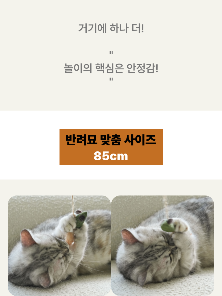 [NEW신상][무료배송] 캣디피 캣닢 쥐돌이 낚시대 31번째