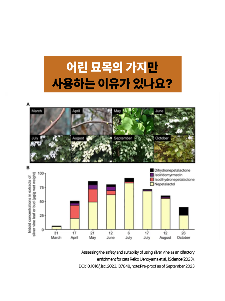 [NEW신상][무료배송] 캣디피 캣닢 쥐돌이 낚시대 24번째