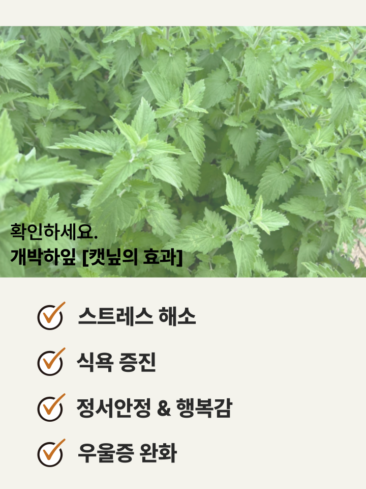 [NEW신상][무료배송] 캣디피 캣닢 쥐돌이 낚시대 17번째