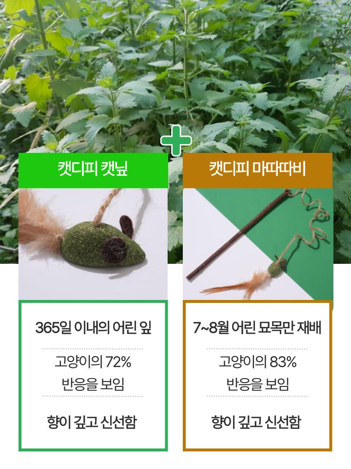 [NEW신상][무료배송] 캣디피 캣닢 쥐돌이 낚시대 23번째