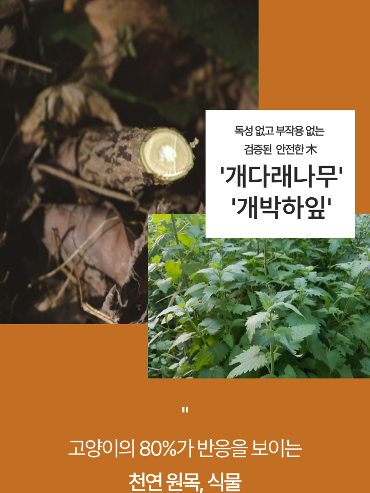 [NEW신상][무료배송] 캣디피 캣닢 쥐돌이 낚시대 8번째