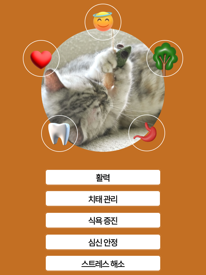 [NEW신상][무료배송] 캣디피 캣닢 쥐돌이 낚시대 36번째