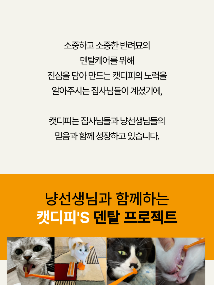 [NEW신상][무료배송] 캣디피 캣닢 쥐돌이 낚시대 41번째