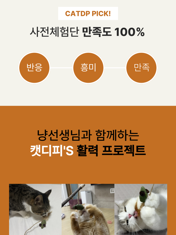 [NEW신상][무료배송] 캣디피 캣닢 쥐돌이 낚시대 13번째