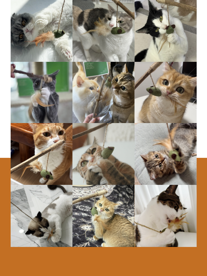 [NEW신상][무료배송] 캣디피 캣닢 쥐돌이 낚시대 14번째