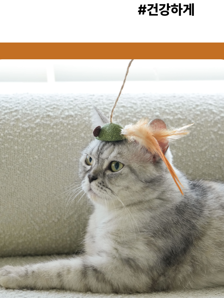 [NEW신상][무료배송] 캣디피 캣닢 쥐돌이 낚시대 5번째