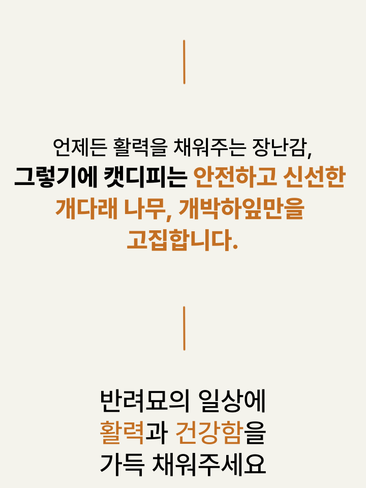 [NEW신상][무료배송] 캣디피 캣닢 쥐돌이 낚시대 15번째