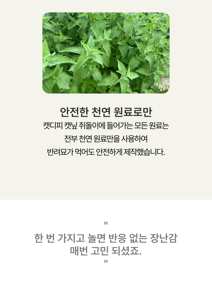 [NEW신상][무료배송] 캣디피 캣닢 쥐돌이 낚시대 11번째