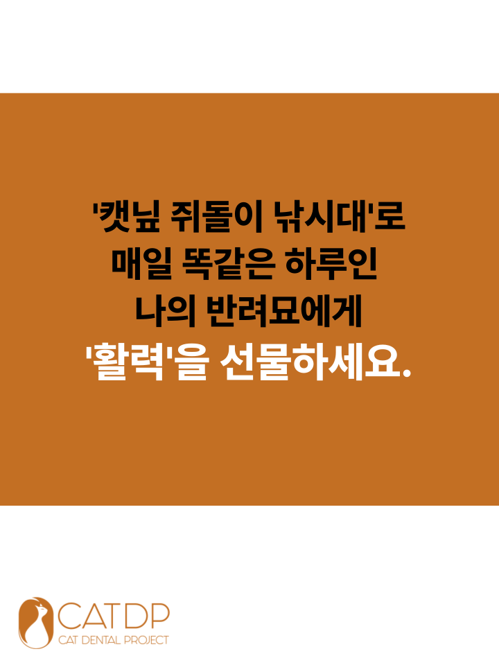[NEW신상][무료배송] 캣디피 캣닢 쥐돌이 낚시대 3번째