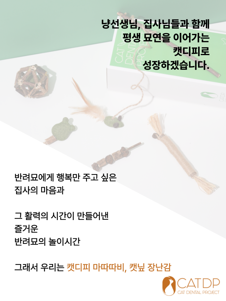[NEW신상][무료배송] 캣디피 캣닢 쥐돌이 낚시대 43번째