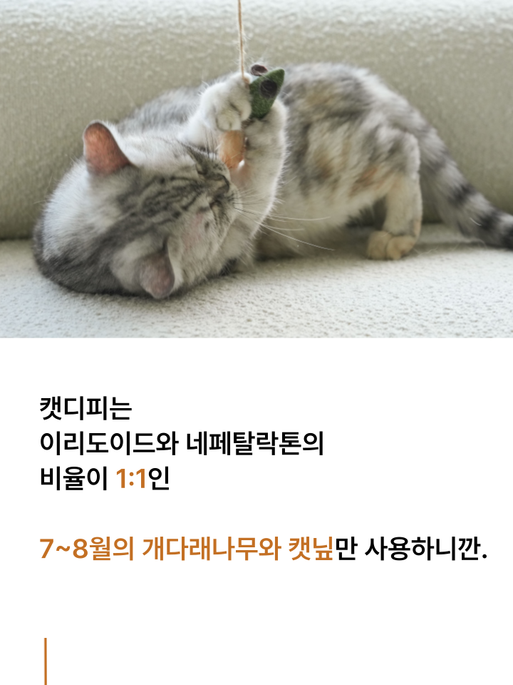 [NEW신상][무료배송] 캣디피 캣닢 쥐돌이 낚시대 27번째