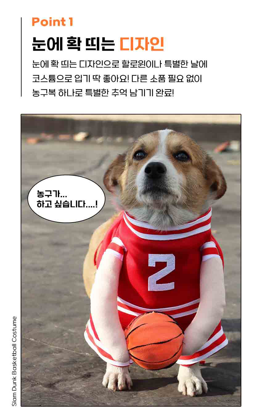 [NEW신상] [무료배송] 도그웨그 슬램덩크 농구 코스튬 3번째