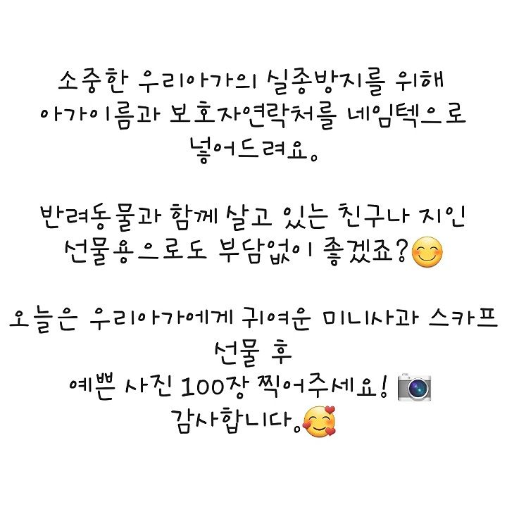 [무료배송] 까팡 빨강사과 노랑사과 양면 스카프 인식표 XS-3XL 7번째