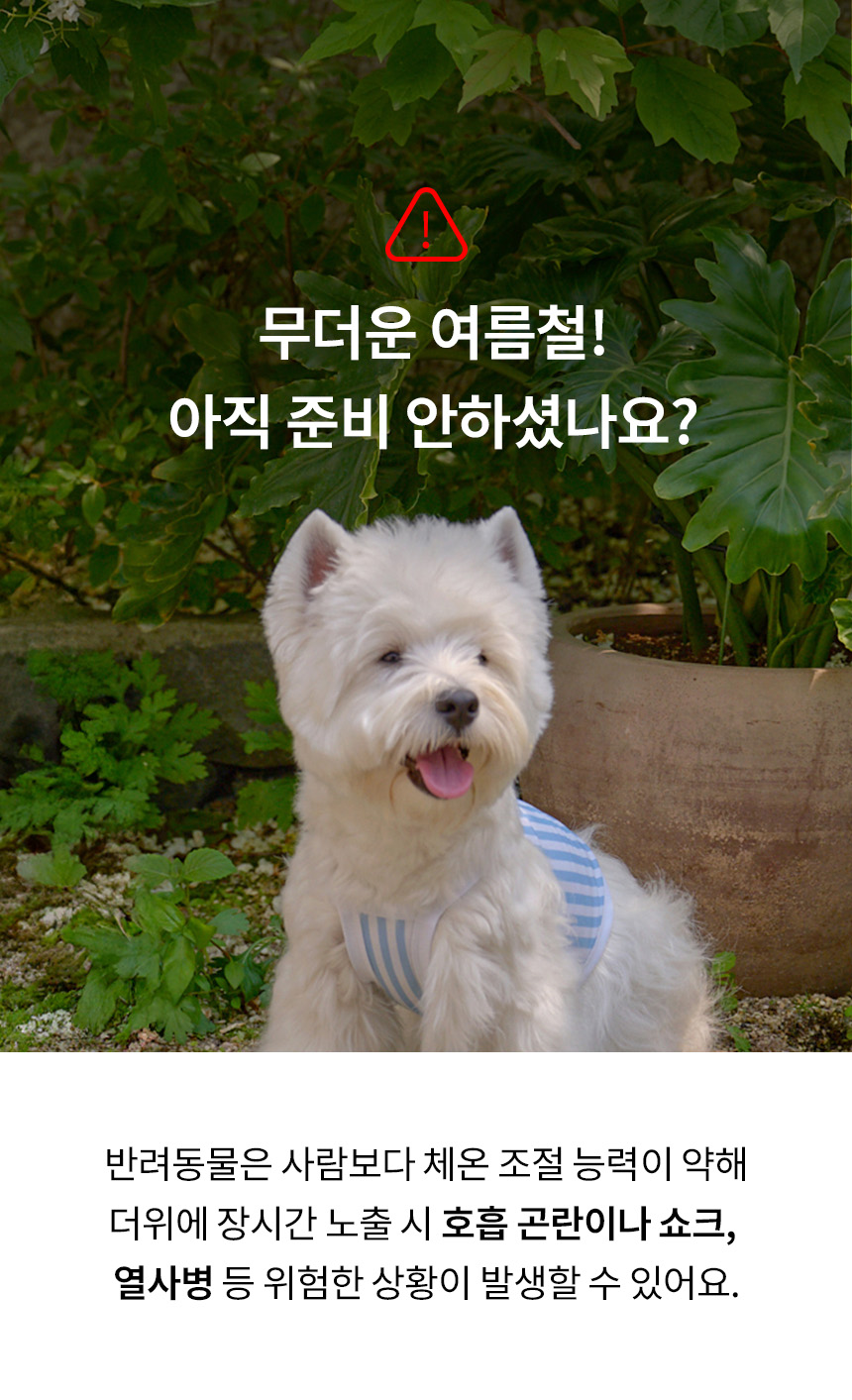 [NEW신상][무료배송] 리카리카 스누즈 쿨 스카프 옐로우/스카이블루 3번째