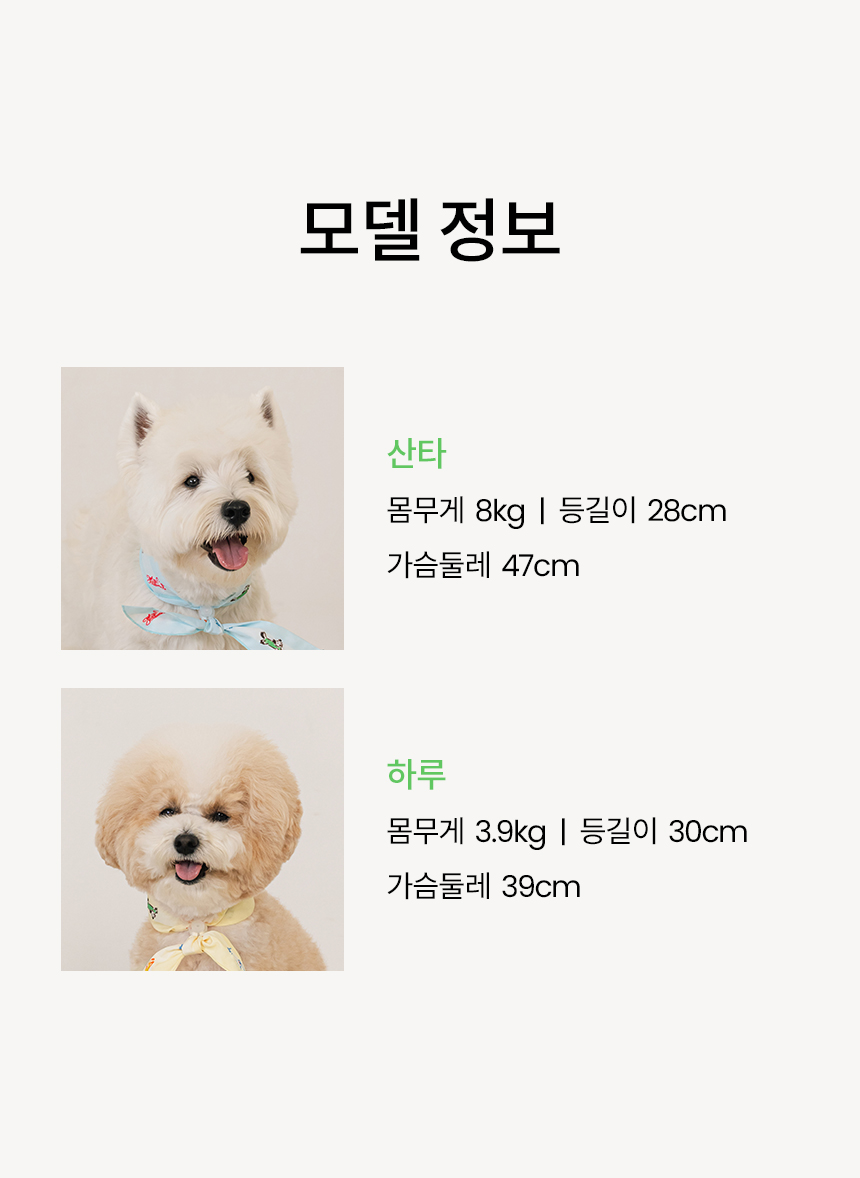 [NEW신상][무료배송] 리카리카 스누즈 쿨 스카프 옐로우/스카이블루 11번째