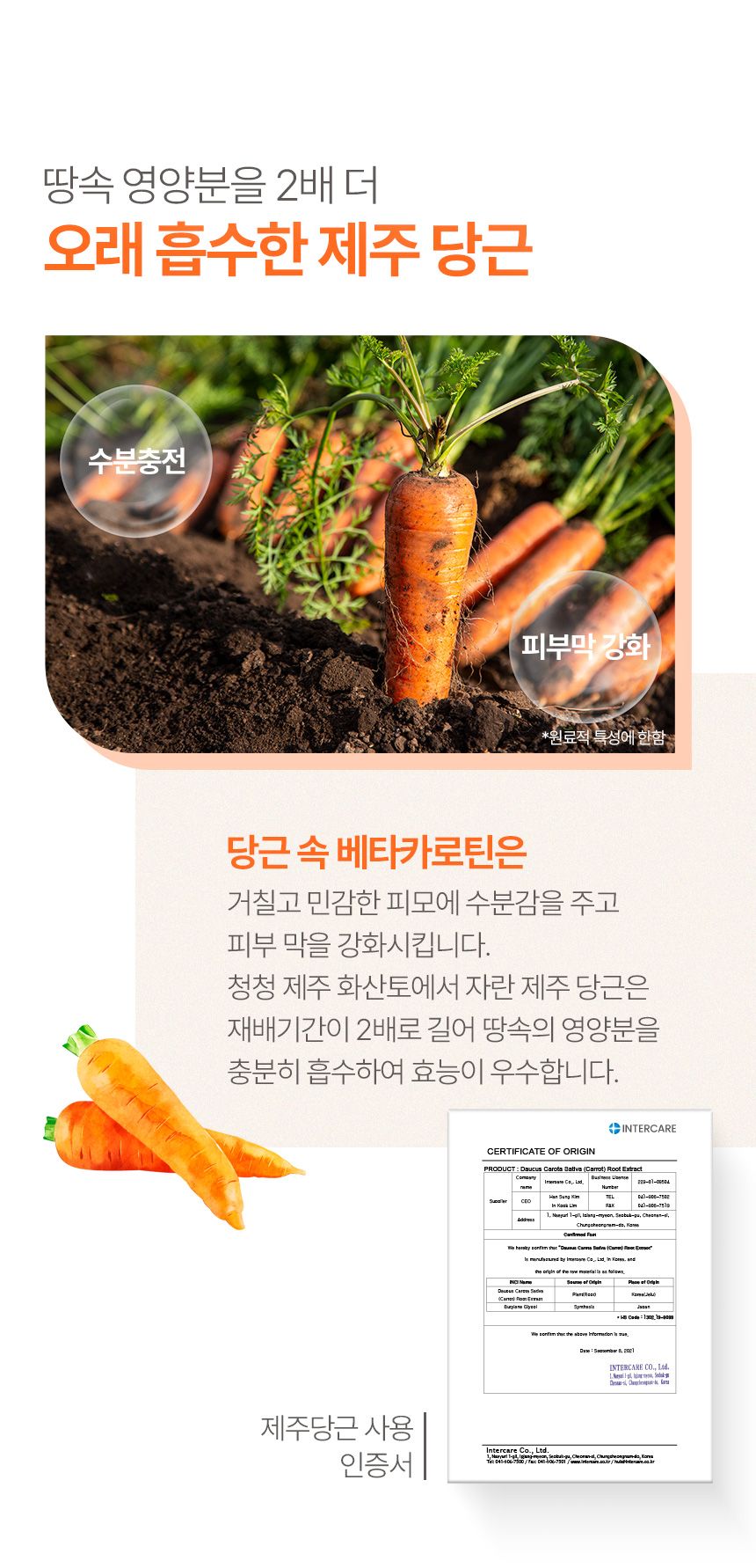[무료배송] 프루티바스켓 독 캐롯 워터리스 풋클렌저 SET 16번째