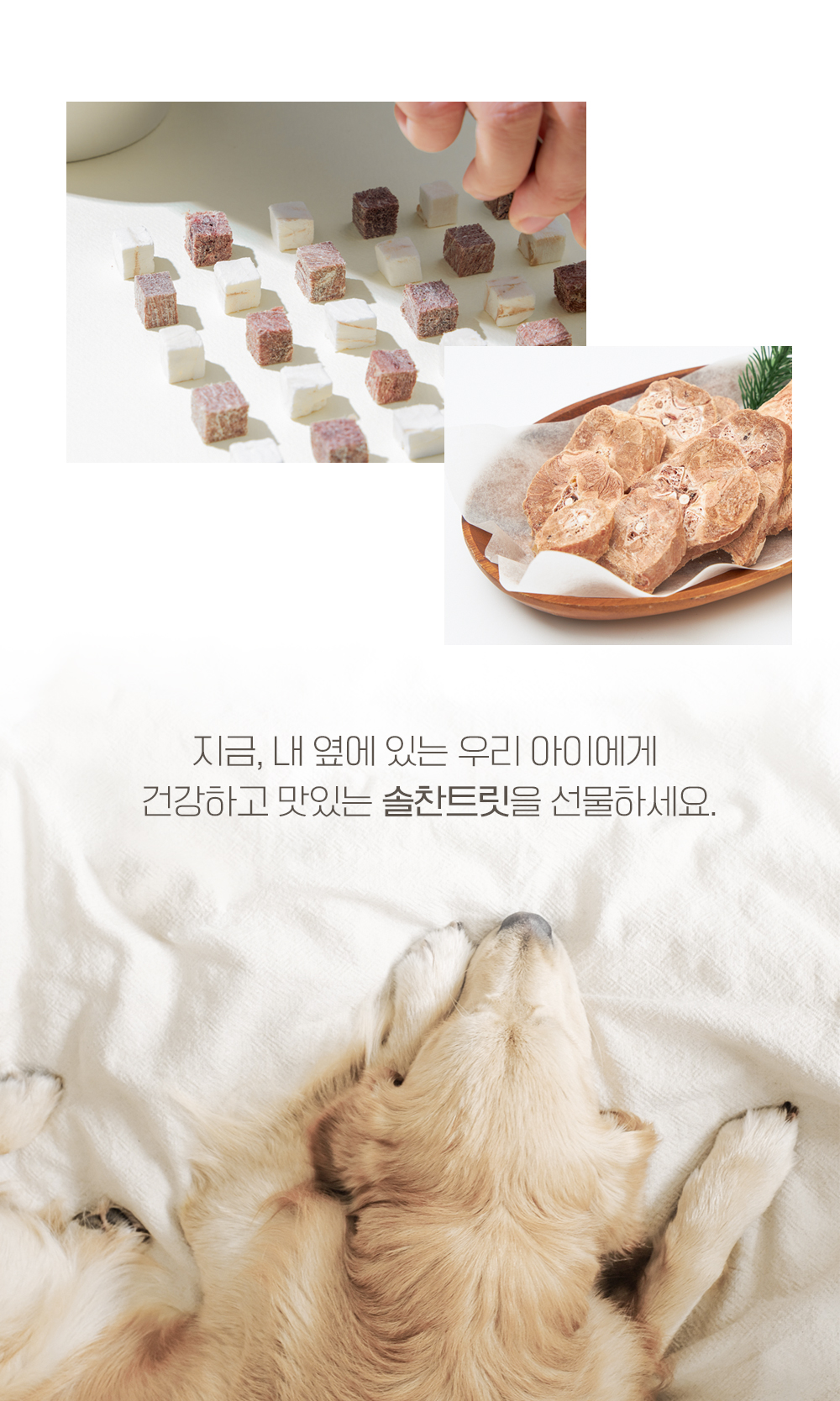[무료배송] 온날 솔찬트릿 동결건조 칠면조목뼈 170g 10번째