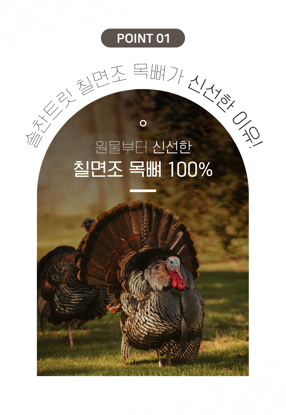 [무료배송] 온날 솔찬트릿 동결건조 칠면조목뼈 170g 3번째