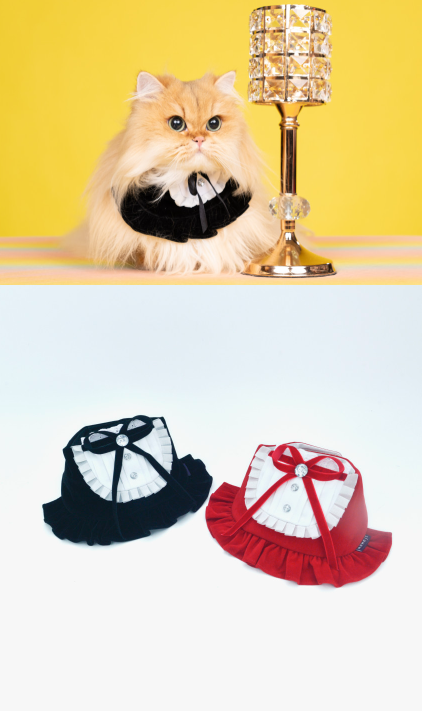 [NEW신상][무료배송] 리치독스 크리스마스 스커트 케이프 블랙 3번째