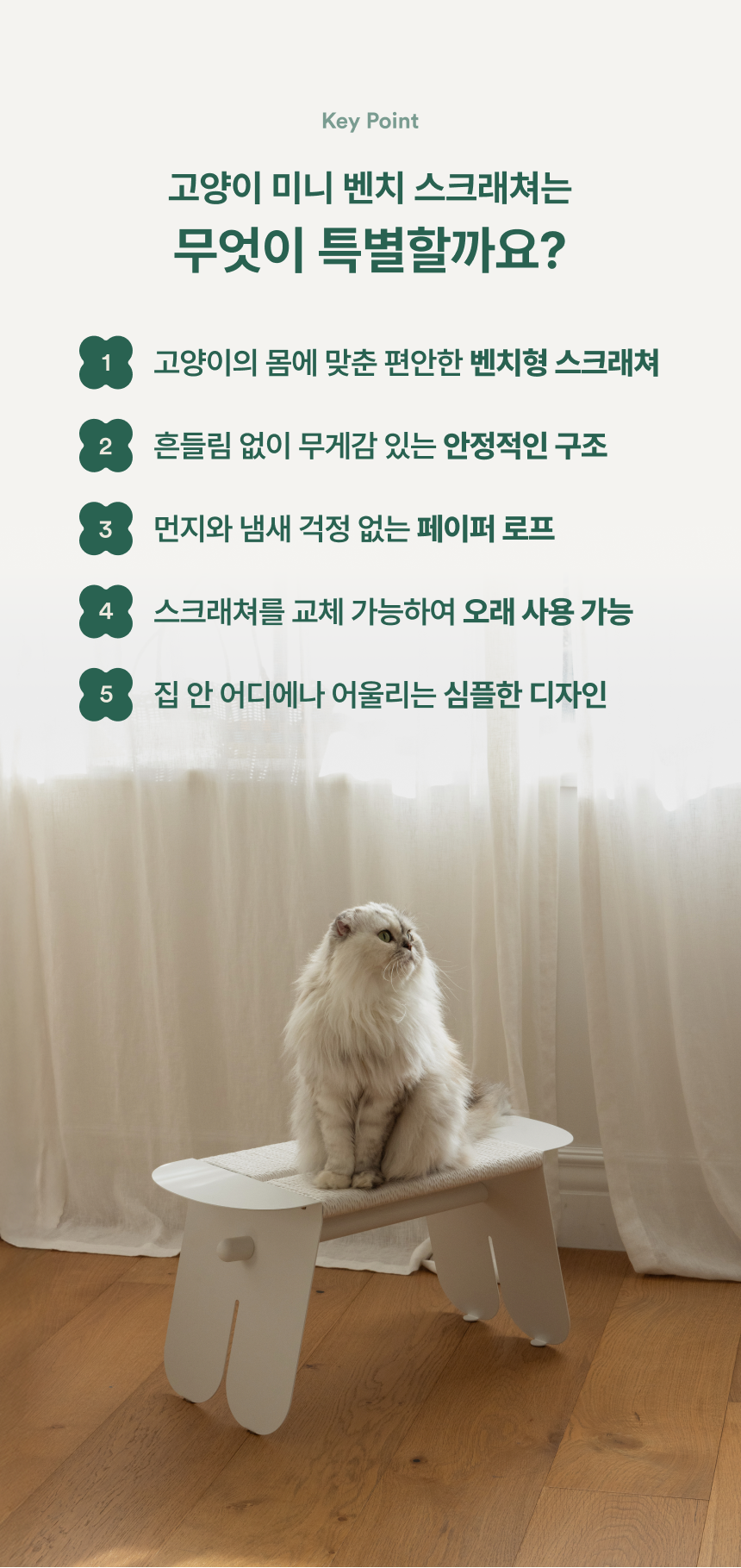 [NEW신상][무료배송] 피도테일 고양이 미니 벤치 스크래쳐 버터색 4번째