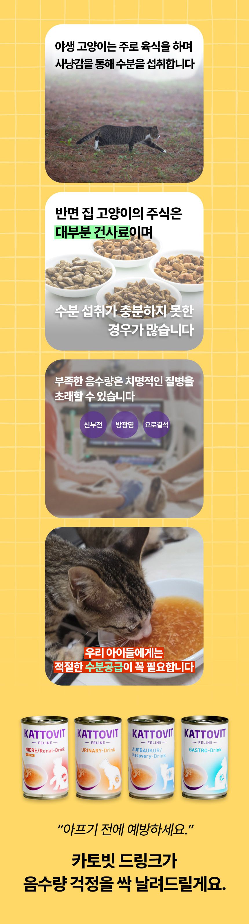 카토빗 캣 바이탈 드링크 리커버리 135ml 3번째
