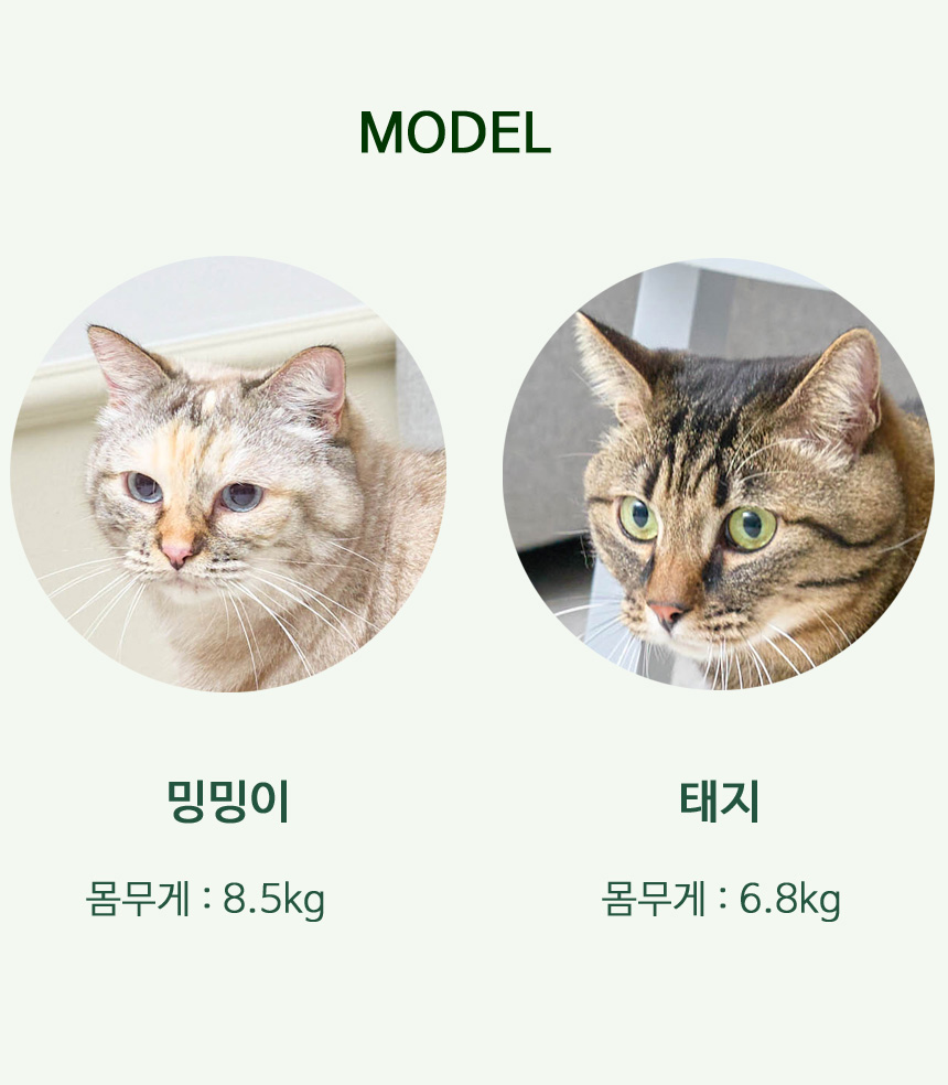 [무료배송] 뽀떼  투베드 스크래쳐 15번째