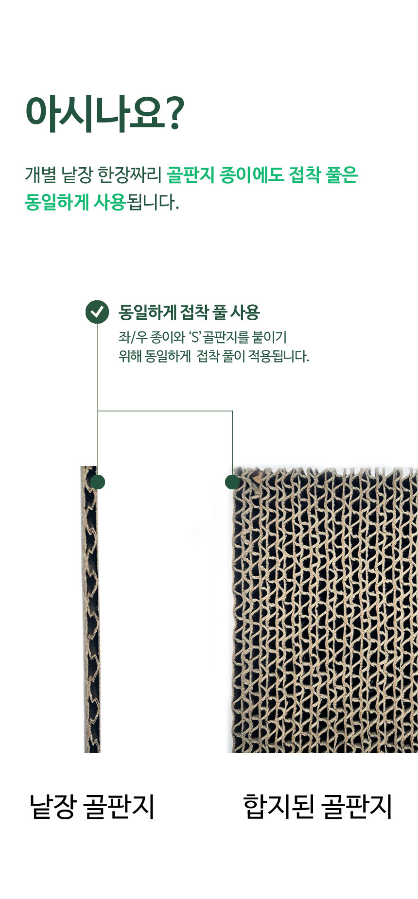 [무료배송] 뽀떼  투베드 스크래쳐 11번째