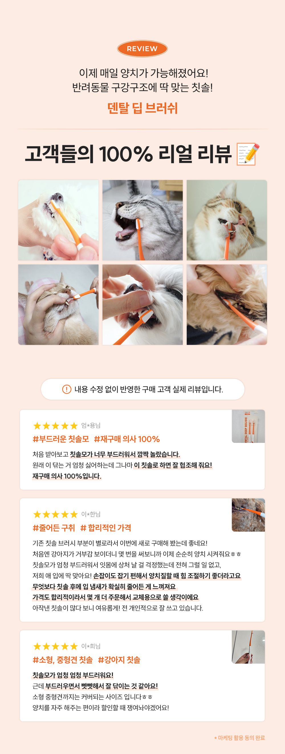 리스펫 덴탈 딥 브러쉬 세트 1번째