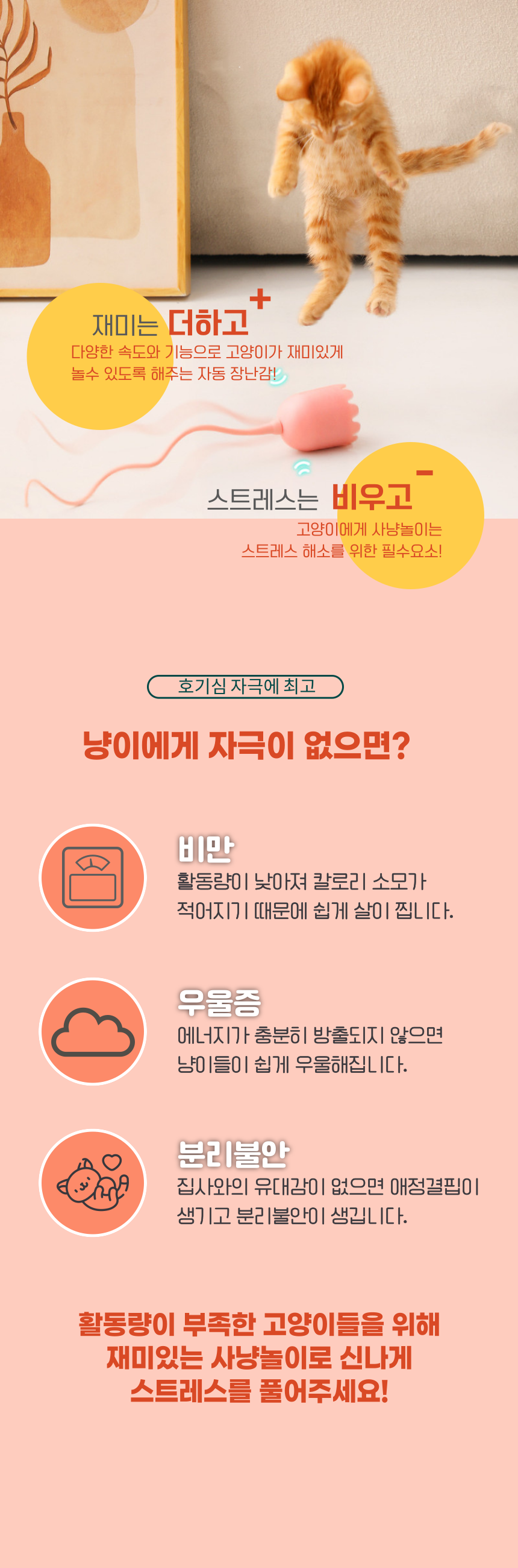 [NEW신상][무료배송] 펫이랑 몬스터 고양이 자동 장난감 5번째