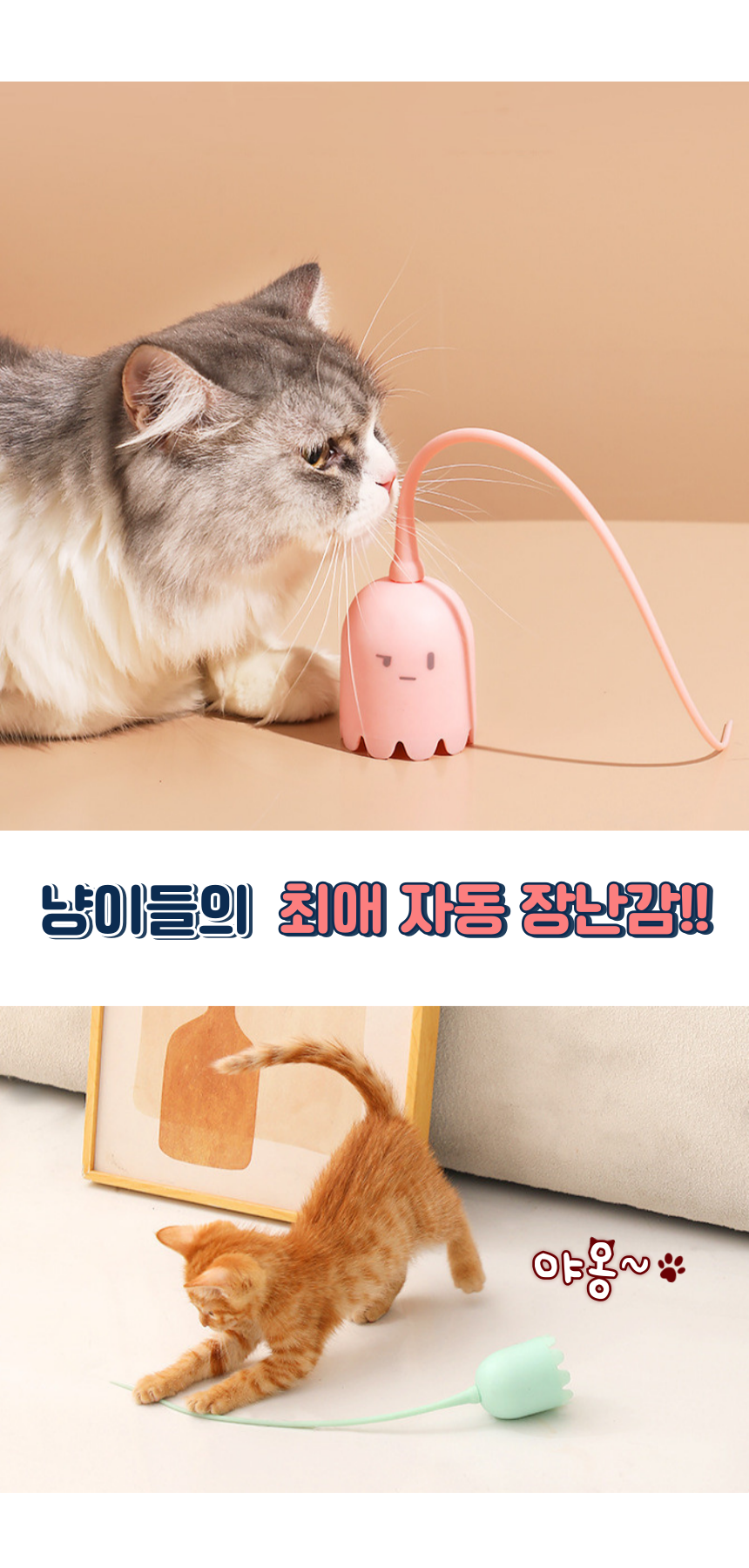 [NEW신상][무료배송] 펫이랑 몬스터 고양이 자동 장난감 3번째