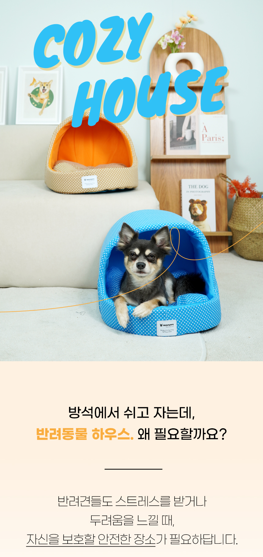 [NEW신상][무료배송] 개과천선 스팟 동글이 하우스 (스카이 블루/베이비 오렌지) 1번째