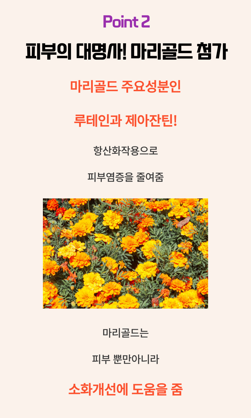 [NEW신상][무료배송] 댕그래 스킨플러스 100g 9번째