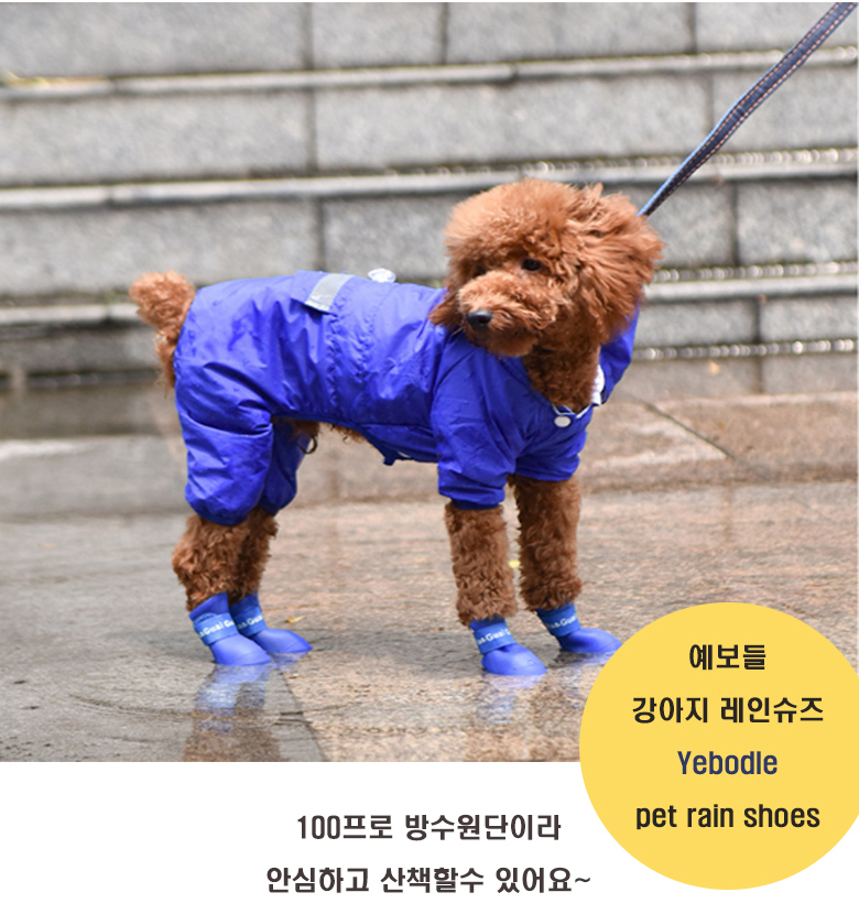 [무료배송] 예보들 라텍스 레인부츠 블랙/블루/핑크 S-L 8번째