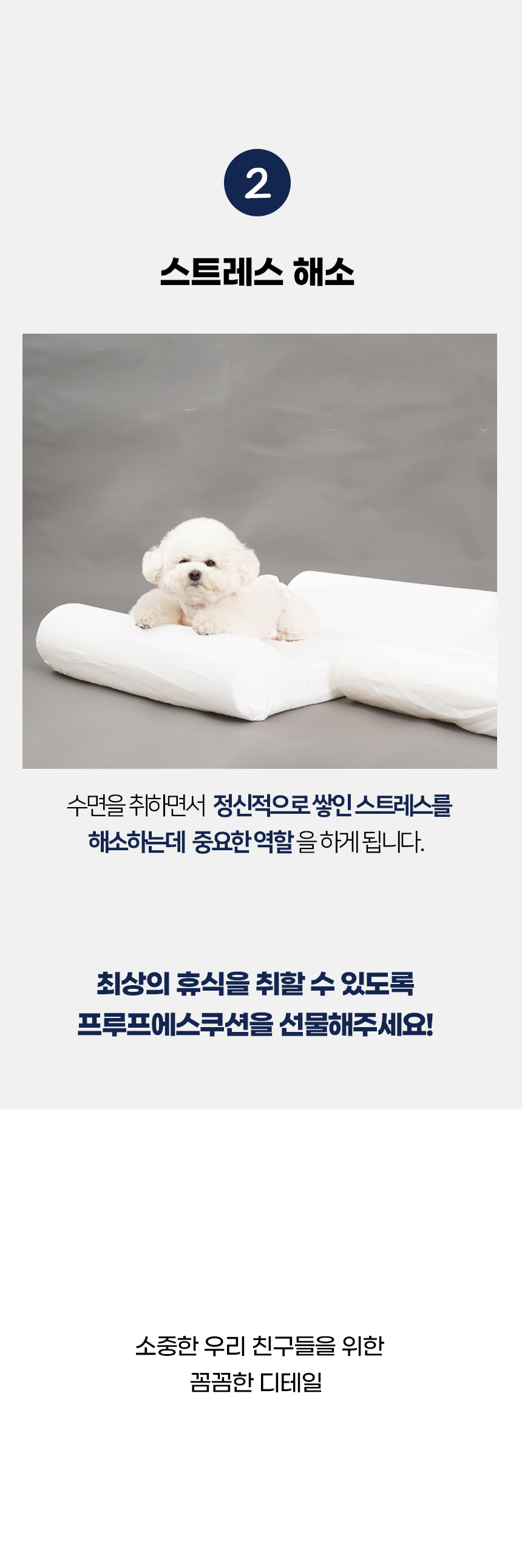 [NEW신상][무료배송] 개과천선 프루프 에스 쿠션 (중형/대형) 3번째