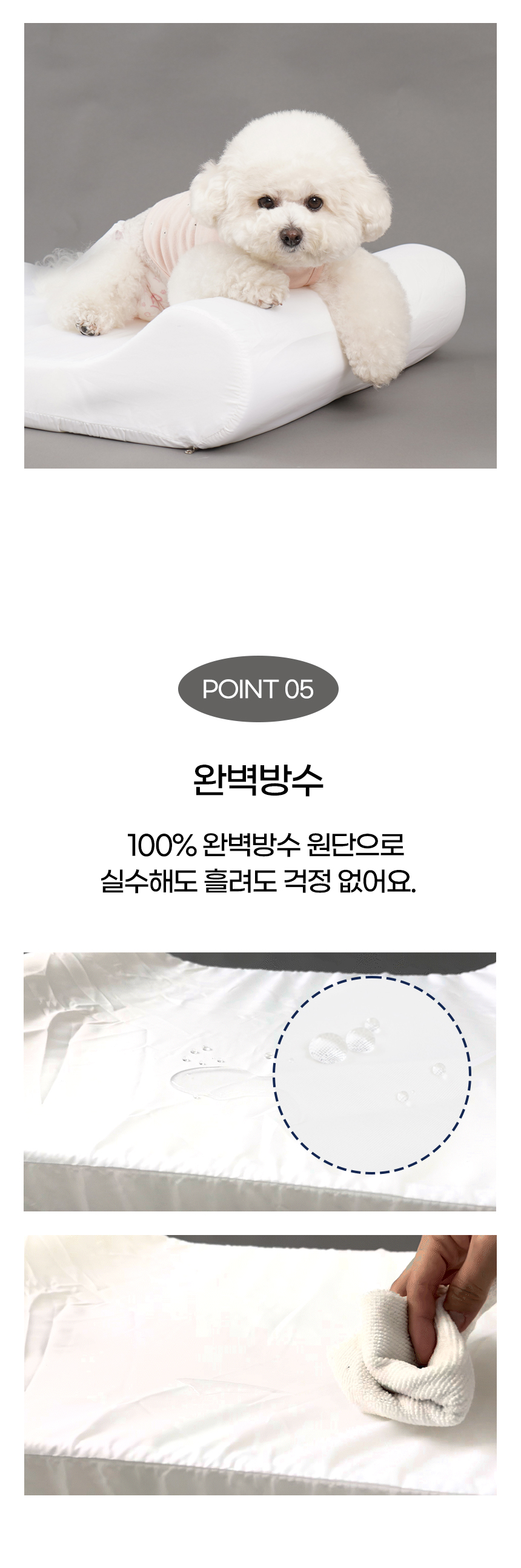 [NEW신상][무료배송] 개과천선 프루프 에스 쿠션 (중형/대형) 6번째