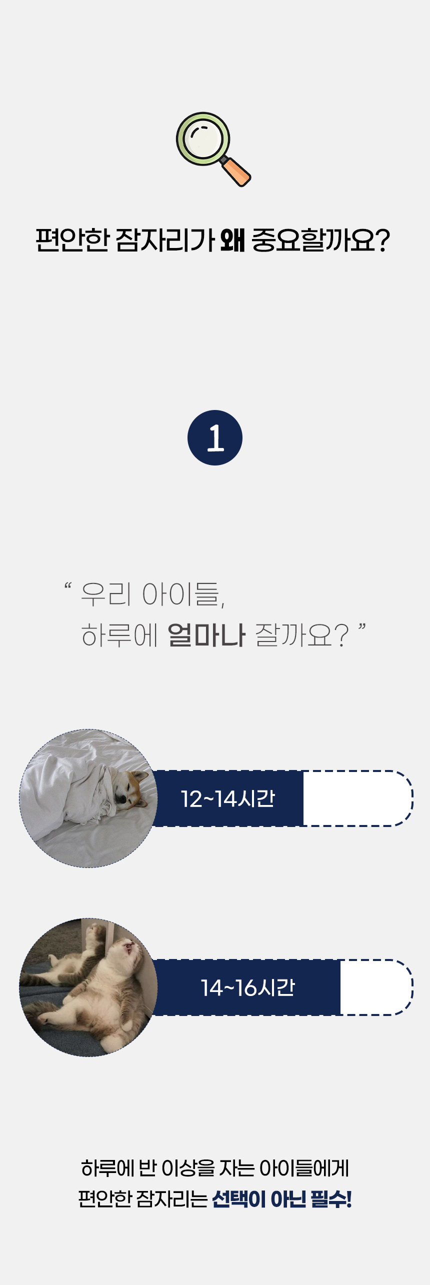 [NEW신상][무료배송] 개과천선 프루프 에스 쿠션 (중형/대형) 2번째