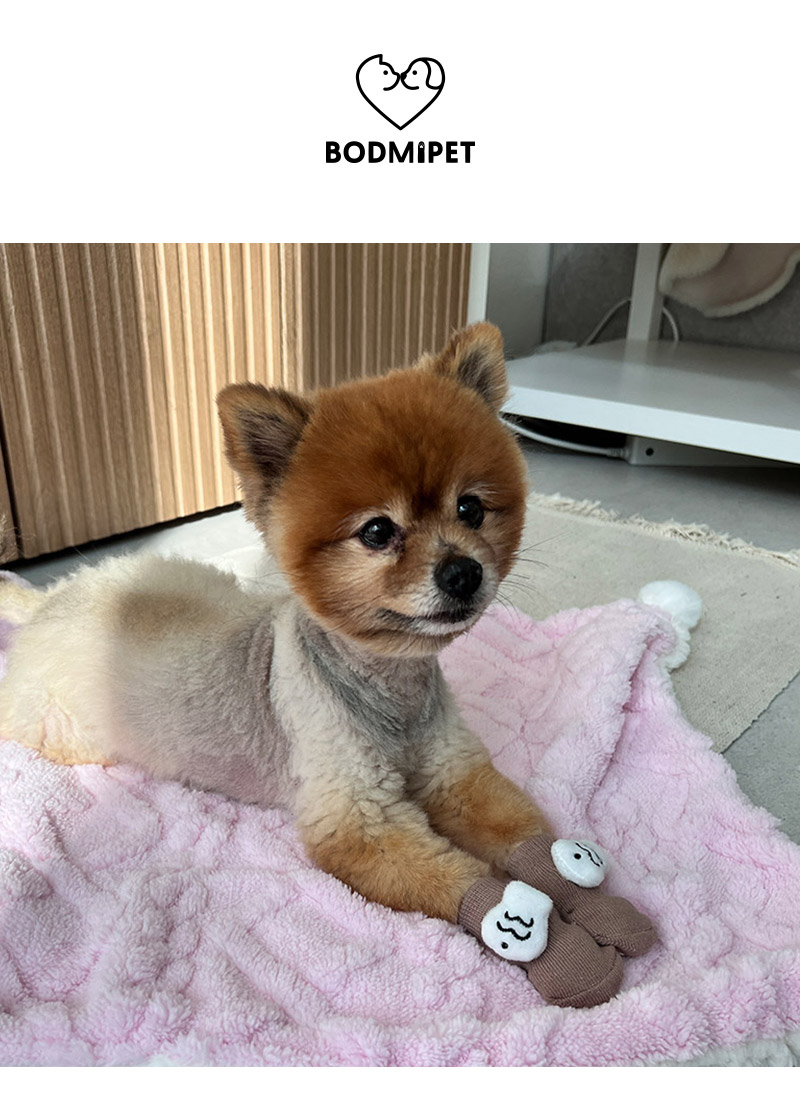 [무료배송] 보드미펫 미끄럼방지 양말 9번째
