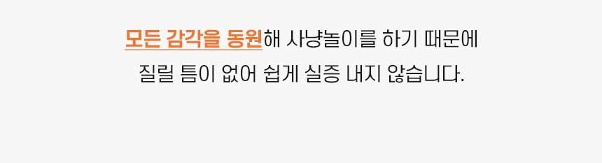 리스펫 사냥본능 자동장난감 9번째