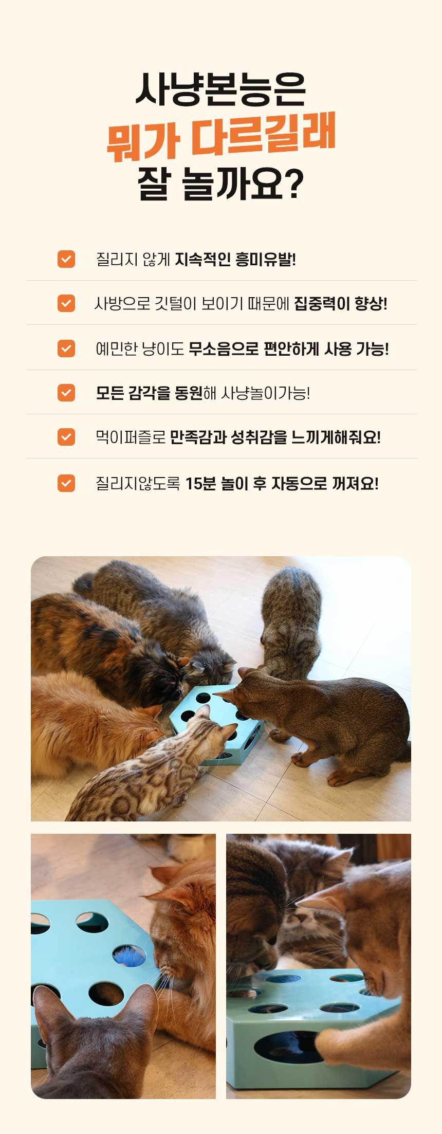리스펫 사냥본능 자동장난감 2번째
