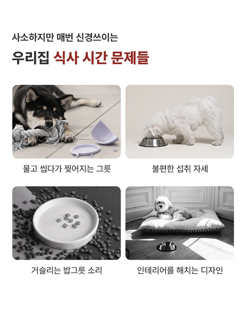 [NEW신상][무료배송] 꼬물리 킁킁식기 프레임&솔리드보울 5번째