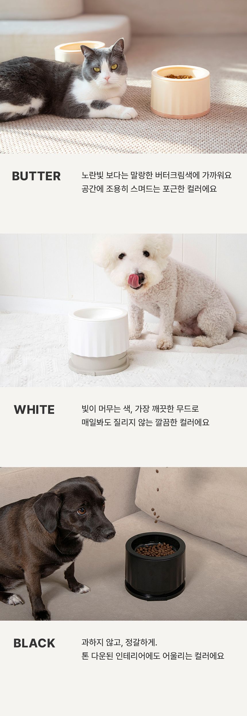 [NEW신상][무료배송] 꼬물리 킁킁식기 프레임&솔리드보울 19번째