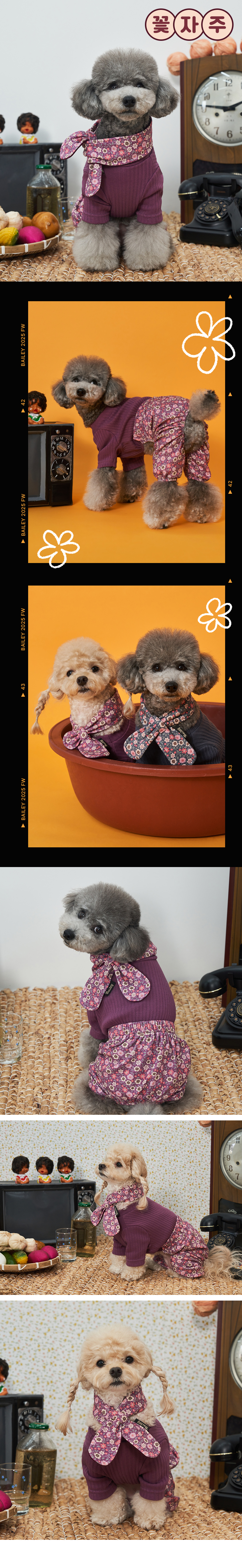 [NEW신상][무료배송] 베일리펫 강아지 전원일기 몸빼 세트 2종 S-3XL (꽃자주/꽃남색) 2번째