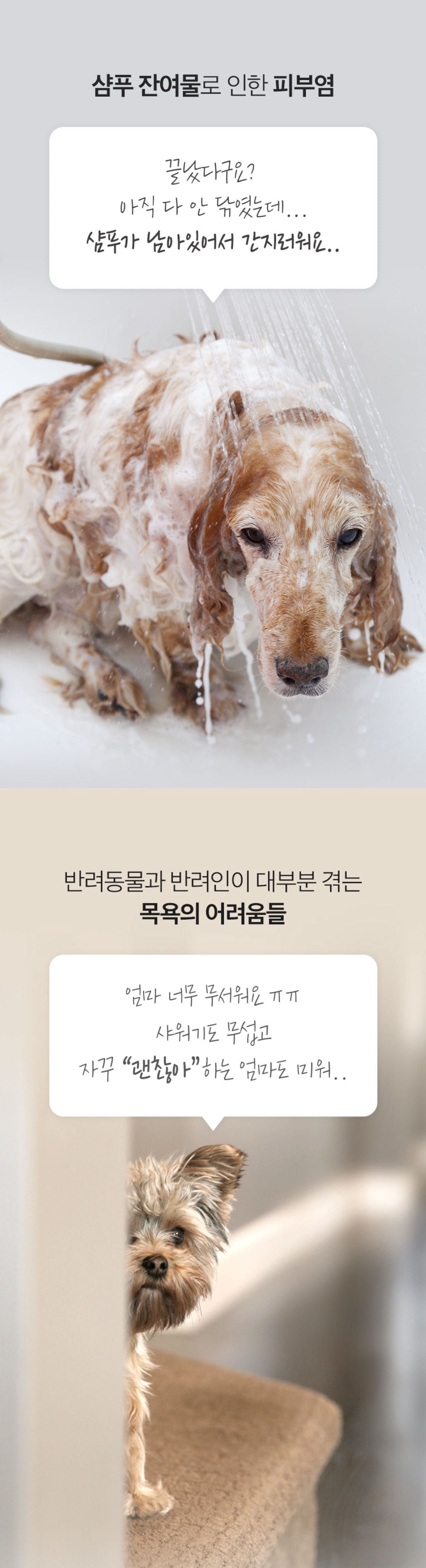 페스룸 릴렉스 샤워 2.0 12번째