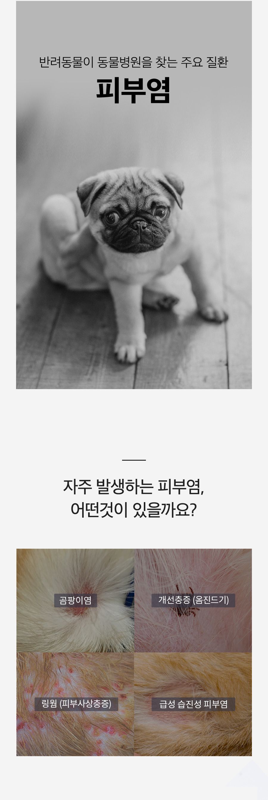 페스룸 릴렉스 샤워 2.0 23번째