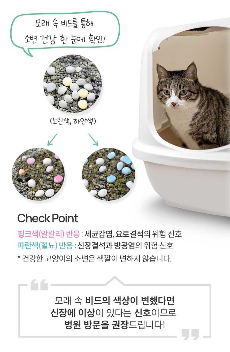 [무료배송] 앱코 오엘라 Dr. 메디샌드 11kg 8번째