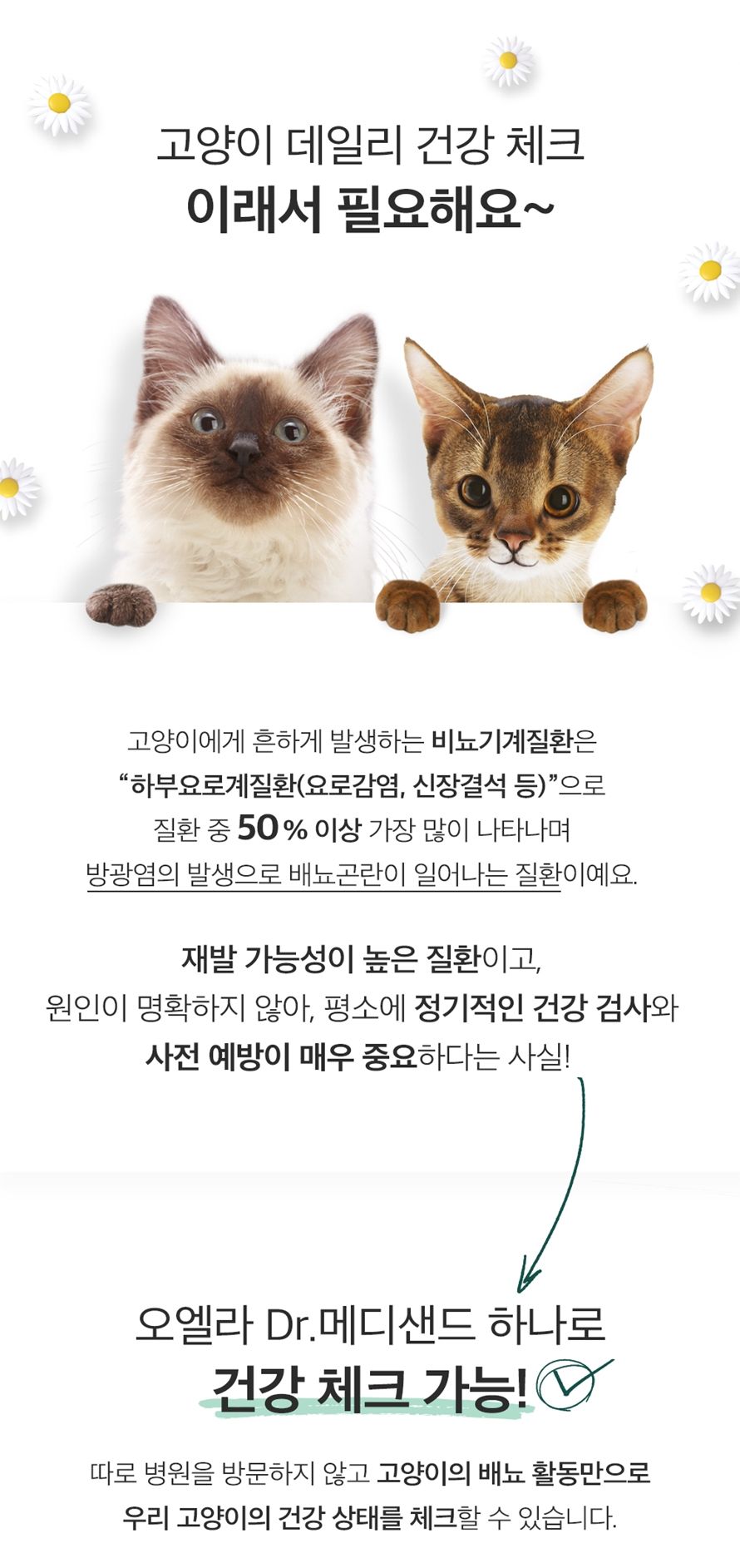 [무료배송] 앱코 오엘라 Dr. 메디샌드 11kg 7번째