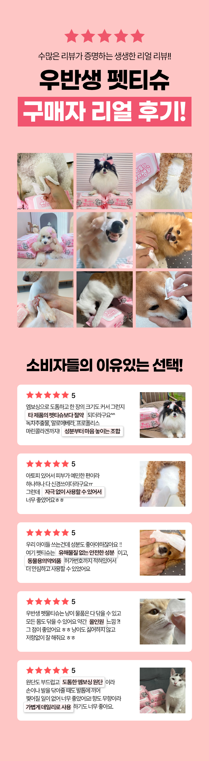 [NEW신상][무료배송] 우리들의 반려생활 엠보싱 펫티슈 캡형 80매 1번째